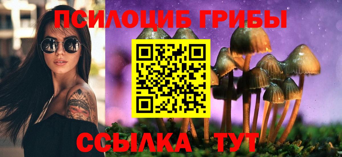 Шахты  Псилоцибиновые грибы Psilocybe  где можно купить наркотик  Галлюциногенные грибы мухоморы  Вход с VPN 